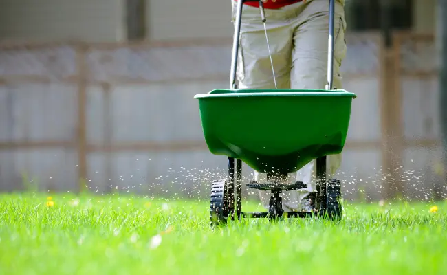 LAWN Grass Seed, Fertilizer, and Soil Improver