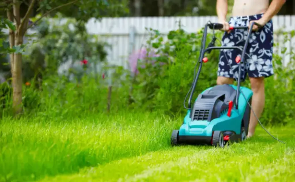 Mowing the lawn